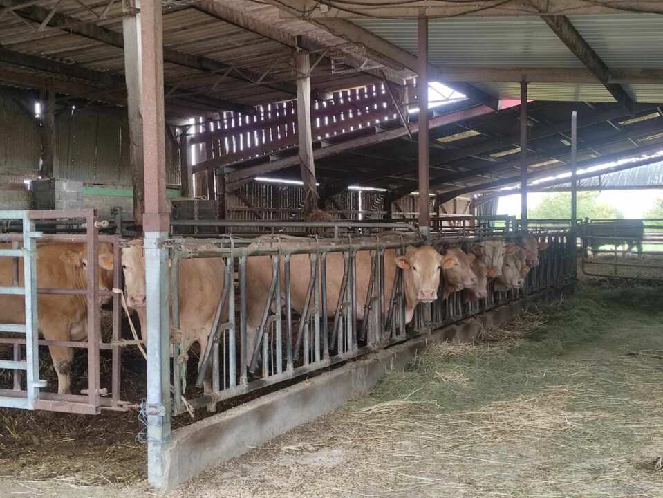 A la ferme